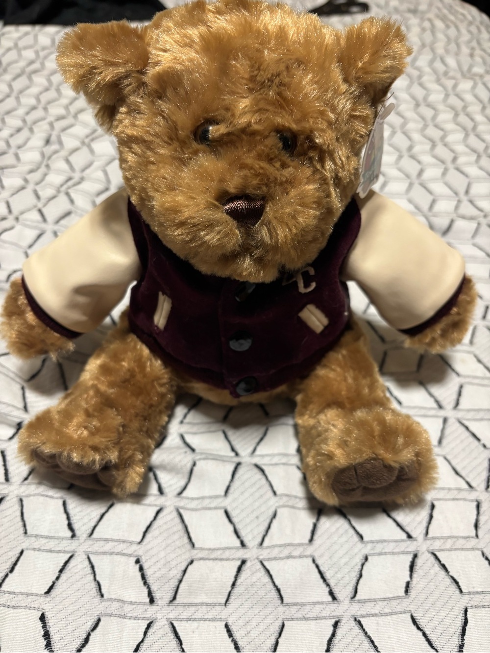 Plush Brown Teddy Bear in Burgundy Jacket - Kids Toys